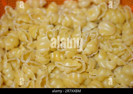 Gekochte Makkaroni, gekochte Nudeln in Form von Schnecken, hergestellt aus Hartweizen, selektiver Fokus von Nudeln, die nach italienischen Rezepten zubereitet werden können oder andere Variationen Stockfoto