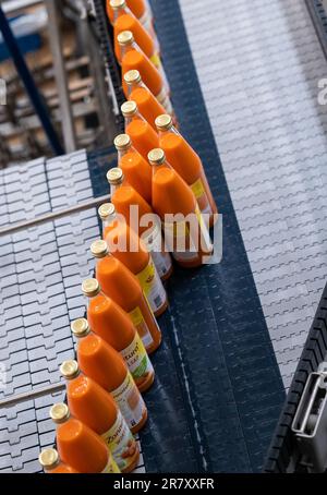 11. Mai 2023, Niedersachsen, Höhbeck: Glasflaschen werden bei der Voelkel-Firma auf einem Förderband transportiert. In der dünn besiedelten Region Wendland gibt es ein großes Problem mit qualifizierten Arbeitskräften. Bei dem Bio-Saftproduzenten Voelkel sieht alles anders aus. (Zu dpa „Es geht nicht nur um Geld“ - Voelkel hat kein Problem mit qualifizierten Arbeitskräften“) Foto: Philipp Schulze/dpa Stockfoto