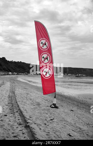 Schild „Keine Hunde segeln“ am Morfa Nefyn Beach in Wales. Teil der Einschränkungen für Hunde zu bestimmten Jahreszeiten in Wales Stockfoto