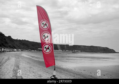 Schild „Keine Hunde segeln“ am Morfa Nefyn Beach in Wales. Teil der Einschränkungen für Hunde zu bestimmten Jahreszeiten in Wales Stockfoto