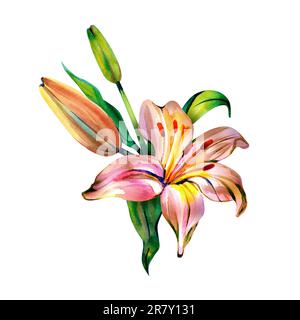 Zarter Strauß mit pinkfarbenen und orangefarbenen Blumen, lila und pfingstrosa, Aquarell i Illustration auf weißem Hintergrund. Handgemalt für Hochzeitseinladungen Stockfoto