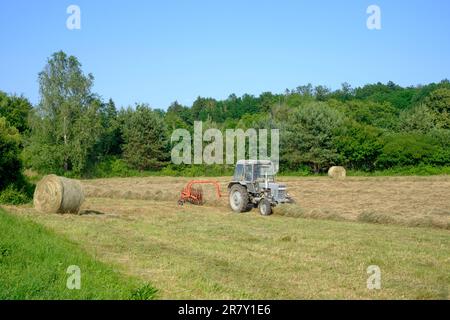 Traktor sammelt und wendet Schnittgras auf dem Feld, bereit für die Ballenherstellung im Kreis zala ungarn Stockfoto