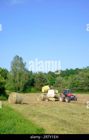 Ballenpressen von zusammengedrehtem Gras im ungarischen Landkreis zala Stockfoto