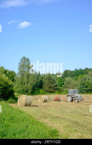 Traktor sammelt und wendet Schnittgras auf dem Feld, bereit für die Ballenherstellung im Kreis zala ungarn Stockfoto