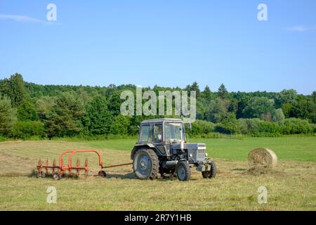 Traktor sammelt und wendet Schnittgras auf dem Feld, bereit für die Ballenherstellung im Kreis zala ungarn Stockfoto