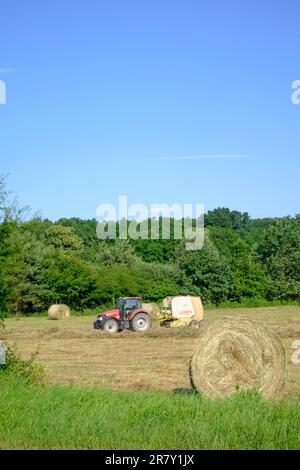 Ballenpressen von zusammengedrehtem Gras im ungarischen Landkreis zala Stockfoto