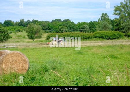 Traktor sammelt und wendet Schnittgras auf dem Feld, bereit für die Ballenherstellung im Kreis zala ungarn Stockfoto