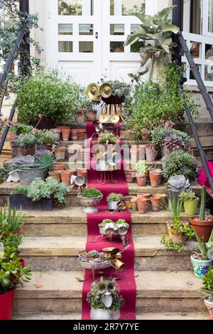 Treppen mit kleinen Puppen, Figuren, Blumen und Kakteen, Kunst und Kunsthandwerk auf einem roten Teppich in einem öffentlichen Garten in Donostia San Sebastian Stockfoto