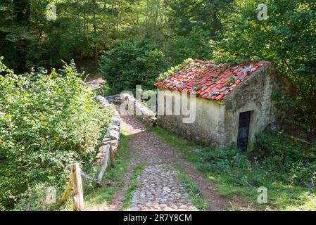 Alte verlassene Mühle im Rio Duje-Tal in Picos de Europa, Asturien Spanien. Das Tal ist wunderbar zum Wandern und führt entlang der Stockfoto