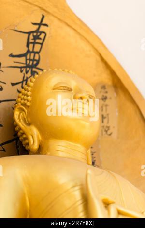 Buddha-Skulptur. Prinz Siddhartha. Geburt. Tempelkunst an der Stupa der japanischen Friedenspagode auf dem Rumassala-Hügel im Dschungel von Stockfoto