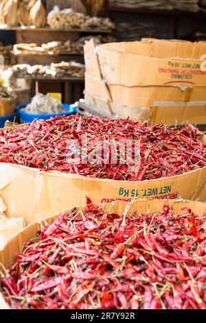 Jede Menge getrockneter, roter, heißer Chili-Pfeffer in einer Pappschachtel in einem Geschäft in Galle, Sri Lanka. Viele Geschäfte in der großen Stadt bieten alle Arten von Kräutern und Stockfoto
