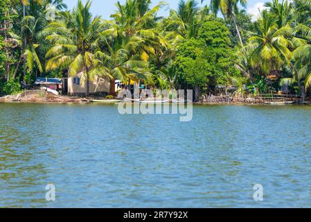 Coastal lagoon named Hikkaduwa lake in the north-east of the city. With its monitor lizards and numerous birds, it is a very pleasant excursion away Stock Photo