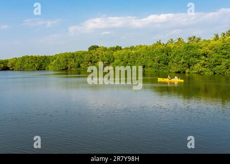 Die Rekawa-Lagune ist eine malerische Küstenlagune im Süden von Sri Lanka, die sich an der Ostseite der Kleinstadt Tangalle befindet. Der See hat einen großen Stockfoto