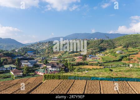 Aufgrund der Bodenfruchtbarkeit und des gemäßigten Klimas der Landschaft von Nuwara Eliyas im Hochland Sri Lankas ist der großflächige Anbau von Tee Stockfoto