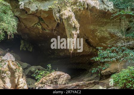 Große Stalaktiten am Eingang und der Mündung der Nam Talu Höhle im Nationalpark Khao Sok in Thailand Stockfoto