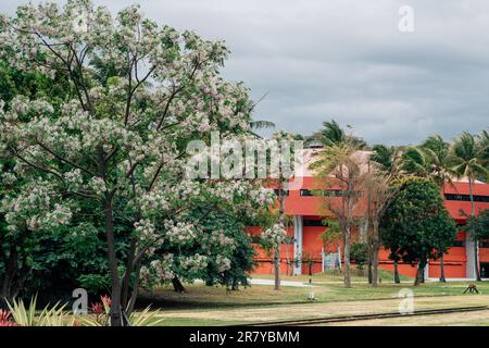 Taitung, Taiwan - 15. März 2023 : Taitung Railway Art Village Stockfoto