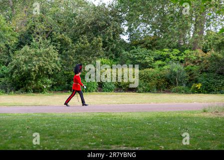 Ein Soldat trifft in Trooping the Colour in der Mall in London ein. Coldstream Guards Officer geht durch St. James's Park in Richtung Horse Guards Stockfoto