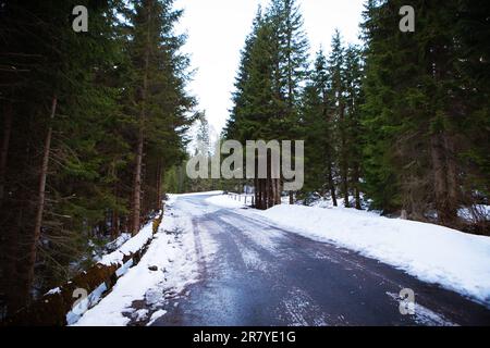 Winterlandschaft - weiße und schneebedeckte Straße zwischen Bäumen in einem tiefen Wald. Stockfoto