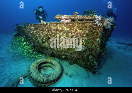 Taucher sehen kleine Schiffswrack Wasserlilie neben der Schule des Blaustreifenschnappers (Lutjanus kasmira) vor der Nordküste von Mauritius in der Nähe Stockfoto