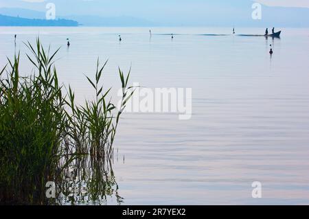 Castiglione del Lago, Fisherman, Lago Trasimeno, Lake Trasimeno, Provinz Perugia, Umbrien, Italien Stockfoto