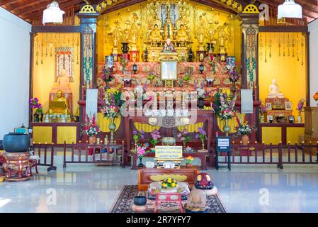 Tempel der japanischen Friedenspagode. Die Stupa existiert seit 2004 und befindet sich auf dem Rumassala-Hügel im Dschungel von Unawatuna. das buddhistische Denkmal Stockfoto