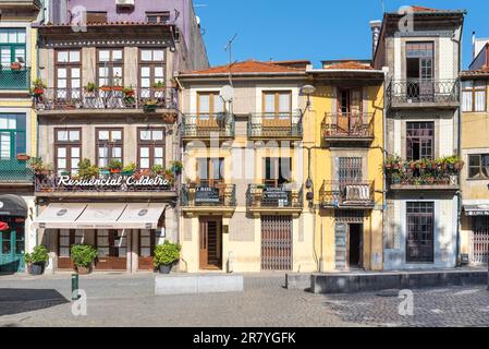 Typische Gebäude im Pombaline-Stil am Campo dos Martires da Patria, was „Feld der Märtyrer“ bedeutet, in Porto Stockfoto