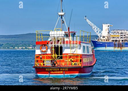 Cromarty Scotland Nigg - Cromarty Ferry die rote Renfrew Rose im Frühsommer auf dem Weg nach Nigg Stockfoto