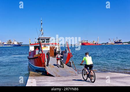 Cromarty Scotland Nigg - Cromarty Ferry die rote Renfrew Rose im Frühsommer Radfahrer, die in Cromarty an Bord der Fähre gehen Stockfoto