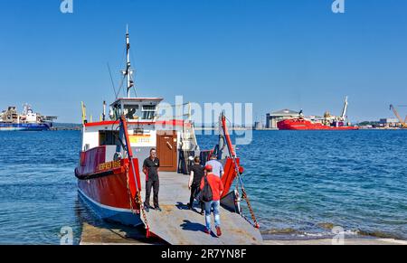 Cromarty Scotland Nigg - Cromarty Ferry die rote Renfrew Rose im Frühsommer Passagiere, die in Cromarty an Bord der Fähre gehen Stockfoto