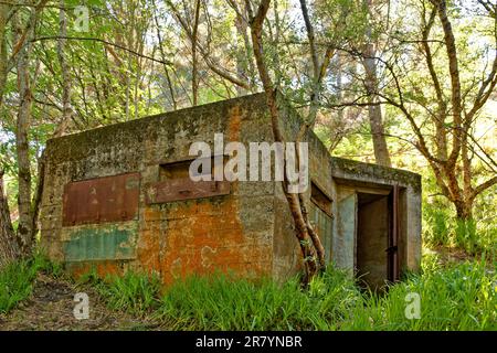 Cromarty Scotland die alte Pillbox aus dem Zweiten Weltkrieg entlang des Spaziergangs auf der South Sutor im Frühsommer Stockfoto