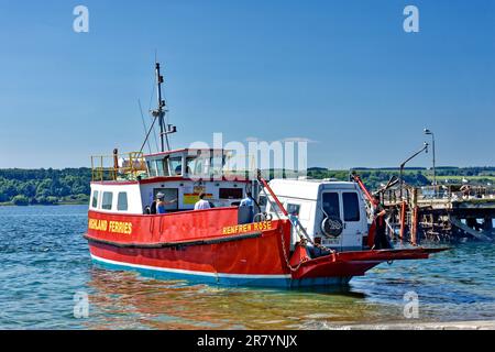 Nigg Schottland Nigg - Cromarty Ferry die rote Renfrew Rose im Frühsommer verlässt die Nigg Hellbahn Stockfoto