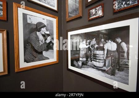 Alte Schwarz-Weiß-Fotos werden im Brügge Beer Experience Museum, Brügge, Flandern, Belgien ausgestellt Stockfoto