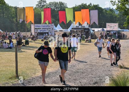 Eridge, Großbritannien. 16. Juni 2023. Eridge Park, Eridge, Kent, Großbritannien, am 16 2023. Juni. Festivalbesucher können die Sehenswürdigkeiten und Klänge während des Black Deer Festival of Americana am 16 2023. Juni in Eridge Park, Eridge, Kent, Großbritannien, genießen. Kredit: Francis Knight/Alamy Live News Stockfoto