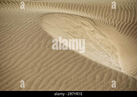 Abstrakte Mondsichel- und Wellenmuster in Sanddünen. Stockfoto