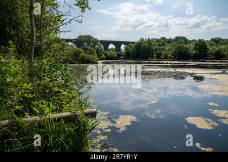 Red Vale Country Park, Stockport, Greater Manchester, England. Stockfoto