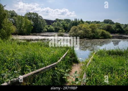 Red Vale Country Park, Stockport, Greater Manchester, England. Stockfoto