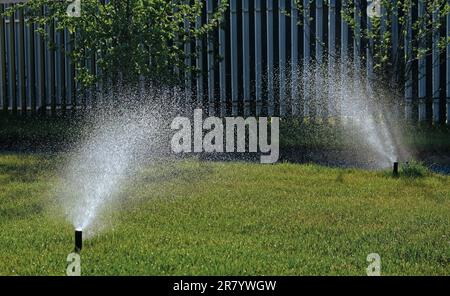 Automatisches Gartenbewässerungssystem zur Bewässerung des Rasens mit verstellbarem Kopf. Automatische Ausrüstung zur Bewässerung und Pflege von Rasenflächen und Gartenanlagen. Stockfoto