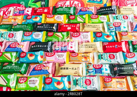 Auswahl an verschiedenen Geschmacksrichtungen japanischer Kätzchen in Reihen. Käsekuchen, rote Bohnen, Milchtee, Weizen, Kamarelpudding und andere Geschmacksrichtungen. Stockfoto