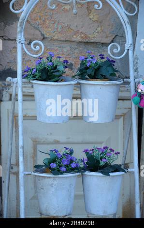 Kleiner Blumenladen mit bunten Blumen Stockfoto