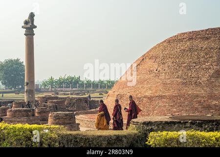 12 19 2014 Vintage Brick Stupa Und Lion Pillar Kolhua Vaishali Bihar Indien Asien. Stockfoto