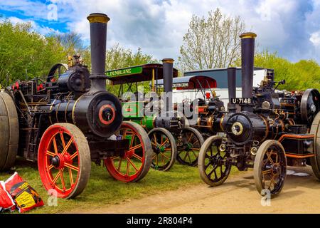 Drei Triebwerke werden für die Ausstellung auf der Abbey Hill Steam Rally, Yeovil, Somerset, England, Großbritannien vorbereitet Stockfoto