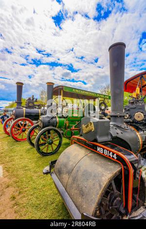 Drei Triebwerke werden für die Ausstellung auf der Abbey Hill Steam Rally, Yeovil, Somerset, England, Großbritannien vorbereitet Stockfoto