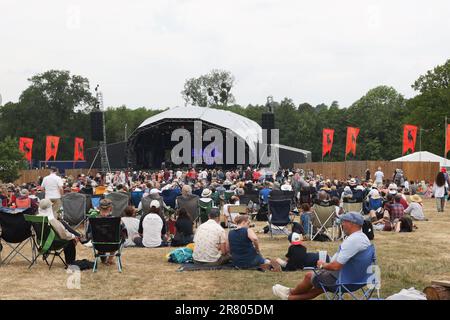 Black Deer Festival, Kent, Großbritannien - 18. Juni Stimmung Shots Black Deer Festival, Eridge Park, Kent. Kredit: Jill O'Donnell/Alamy Live News Stockfoto