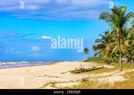 Verlassener Strand, umgeben von Kokospalmen und mit einem rudimentären Schiff, das typisch für den Nordosten Brasiliens ist und in Serra als Floß auf dem Sand bezeichnet wird Stockfoto