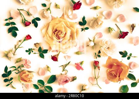 Klassisches Blumenmuster aus Rosen, grünen Blättern, Zweigen auf weißem Hintergrund. Flach liegend, Draufsicht. Blumenmuster Textur Stockfoto