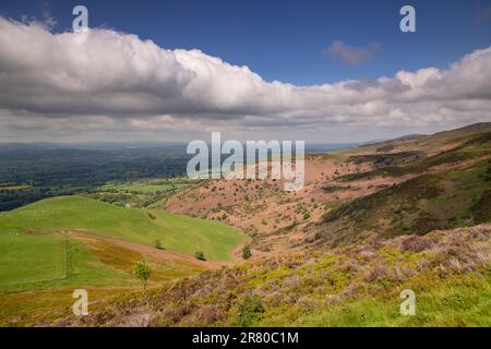 Blick über die Clwydian Range in der Sommersonne, Nordwales Stockfoto