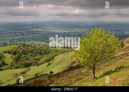 Blick über die Clwydian Range in der Sommersonne, Nordwales Stockfoto