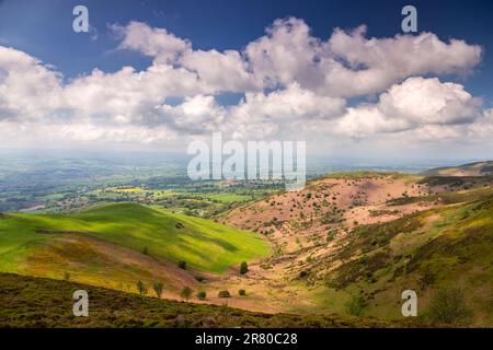 Blick über die Clwydian Range in der Sommersonne, Nordwales Stockfoto
