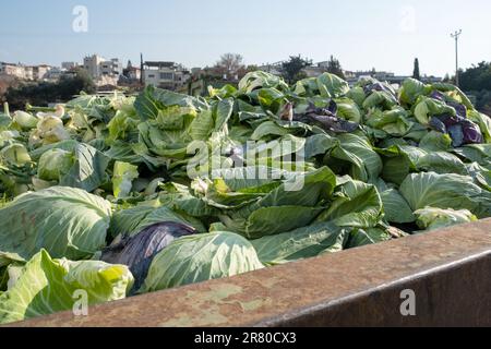 Abgelaufener organischer Bioabfall. Gemüse und Obst in einem riesigen Behälter in einem Abfalleimer vermischen. Haufen Kompost aus Gemüse oder Futter für Tiere. Stockfoto