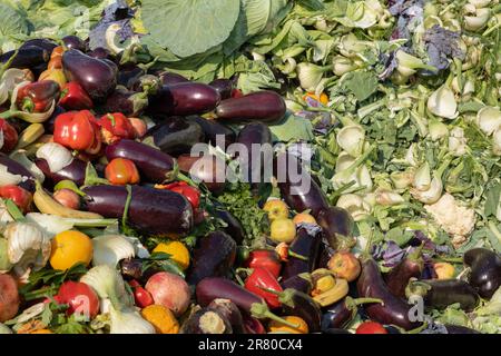 Abgelaufener organischer Bioabfall. Gemüse und Obst in einem riesigen Behälter in einem Abfalleimer vermischen. Haufen Kompost aus Gemüse oder Futter für Tiere. Stockfoto